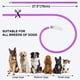 thumbnail image 3 of Collar luminoso para perros, recargable por USB, con luces LED, ajustable y con luces intermitentes, para perros pequeños, medianos y grandes, color rosa, 3 of 5