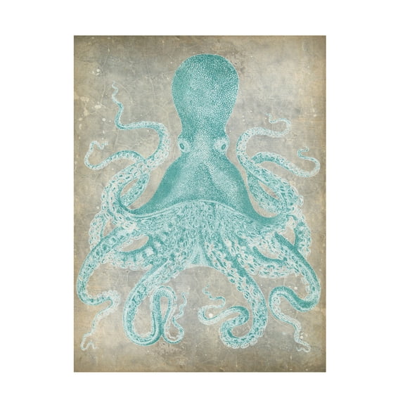 Trademark Fine Art Jennifer Goldberger Spa Octopus I Canvas Wall Art - 35x47