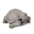 thumbnail image 5 of GDF Studio Delphos Outdoor Turtle Garden Statue, Dark Gray, 5 of 7