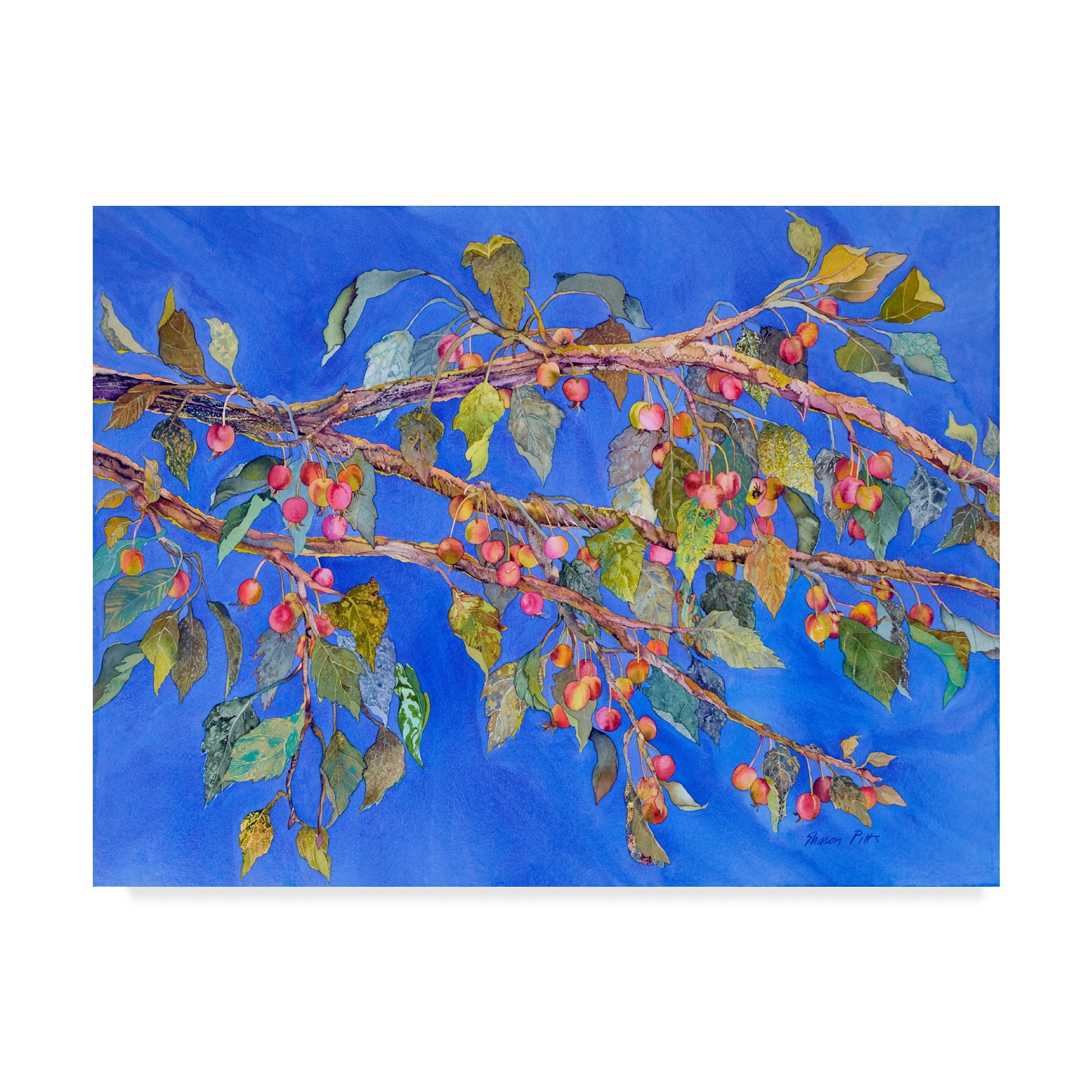 Trademark Fine Art 'Crab Apple In Tree' Canvas Art by Sharon Pitts