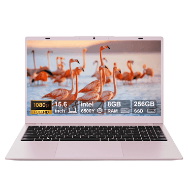 RNRUO 15.6" Pink Laptop Computer, 8GB RAM 256GB SSD, Intel Pentium Gold 6500Y with 2 Cores, up to 3.4GHz, FHD Display, Office 2024, WiFi5 BT5.0, PC Laptop for Business, Student, Office