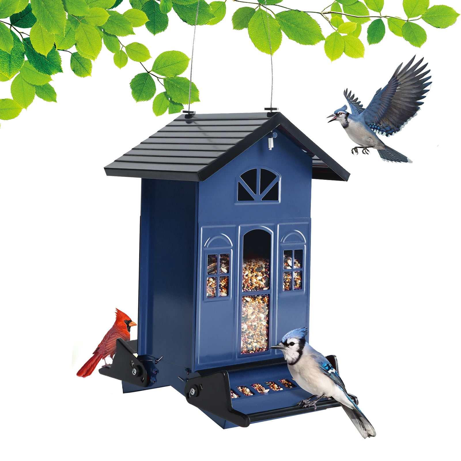 Birdkiss 5lbs SquirrelProof Wild Bird Feeder with Bilateral Weight