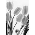 thumbnail image 2 of Urquhart, Elizabeth 11x14 White Modern Wood Framed Museum Art Print Titled - Shadows and Light I, 2 of 4