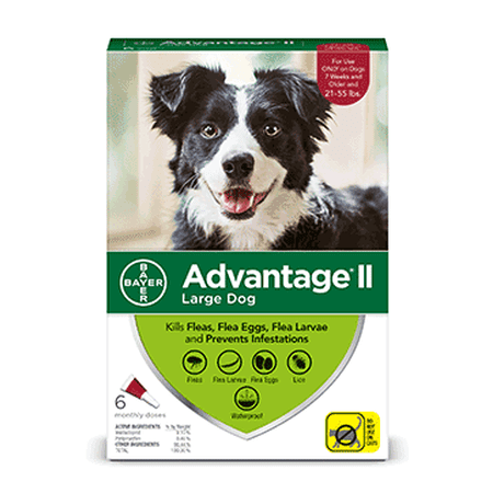 Advantage II Flea Treatment for Large Dogs, 6 Monthly