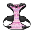 thumbnail image 3 of Bingfone Best Mom ever No Pull Dog Vest Harness for Small Medium Large Dogs Strap for Puppy Walking,Training,Dog Harness-Small, 3 of 7