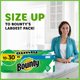 image 2 of Bounty Select-A-Size Paper Towels, White, 6 Triple Rolls