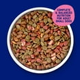 thumbnail image 3 of Kibbles ‘n Bits Bistro Mini Bits Small Breed Dry Dog Food Beef & Apple Flavors, 16 lb. Bag, 3 of 10