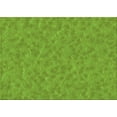 thumbnail image 1 of Ahgly Company Indoor Rectangle Patterned Hummingbird Green Area Rugs, 4' x 6', 1 of 6