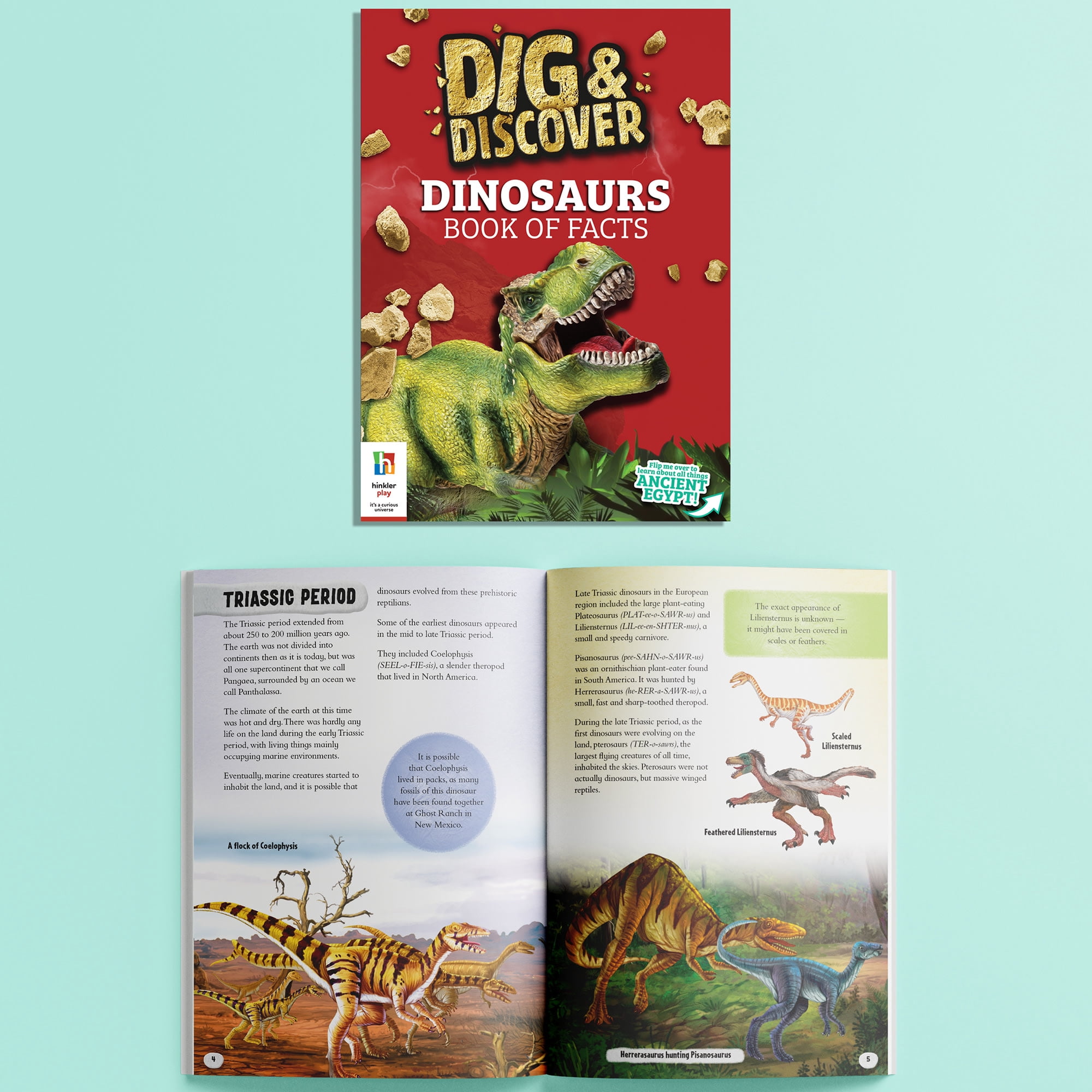 Dig & Discover Ultimate Kit - DIY Science and Geology for Kids - Uncover Treasure and Fossils - Ancient History for Kids - STEM Skills for Kids Aged 8 to 14 - Archaeology Basics