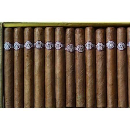 Buy Cuban Cigars Cuba Pinar del Rio Province Cuban Cigars Rolled Canvas Art - Walter Bibikow DanitaDelimont (8 x 10) ()