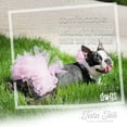 thumbnail image 3 of Light Pink Dog Tutu Skirt | XS-XXXL, 3 of 11