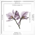 thumbnail image 5 of Art.com Orchid Lavender Premium Giclee Print by Albert Koetsier, White Frame Wall Art, 21" x 21", 5 of 5