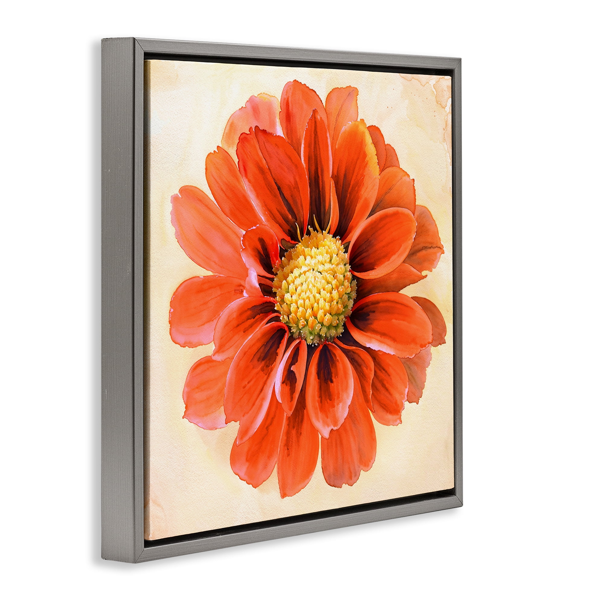 Stupell Industries Orange Dahlia Bloom Plants & Flowers Painting Gray Floater Framed Canvas Art Print Wall Art, 18 x 18