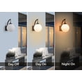 thumbnail image 2 of 14" Outdoor Globe Wall Sconce with Frosted Glass, E26 Socket, 2 of 10
