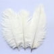thumbnail image 4 of Plumas de Avestruz Wosthever 5/10Pcs 30-35cm blanco, 4 of 6