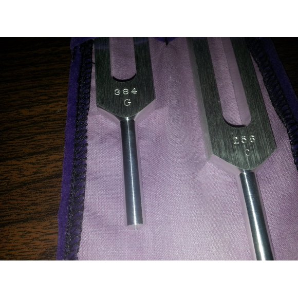 Paire de Fourches Tuning - C 256 Hz et g 384 Hz avec Pochette en Tissu à 2 Poches