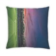 thumbnail image 2 of Ahgly Company Insects Cricket Coussin d'Extérieur, 18 Pouces par 18 Pouces, 2 of 6