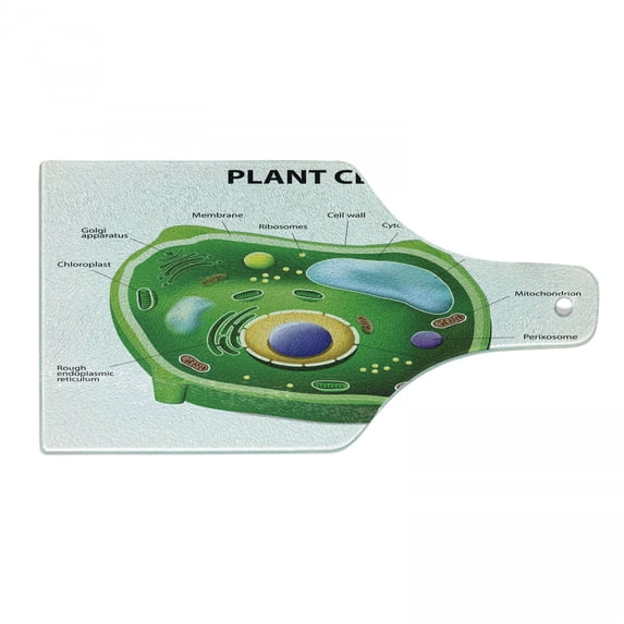 Science Cutting Board, Plant Cell Biology Research Botany Anatomy Structure Organic Life Nature, Decorative Tempered Glass Cutting and Serving Board, Wine Bottle Shape, Green Pale Blue, by Ambesonne