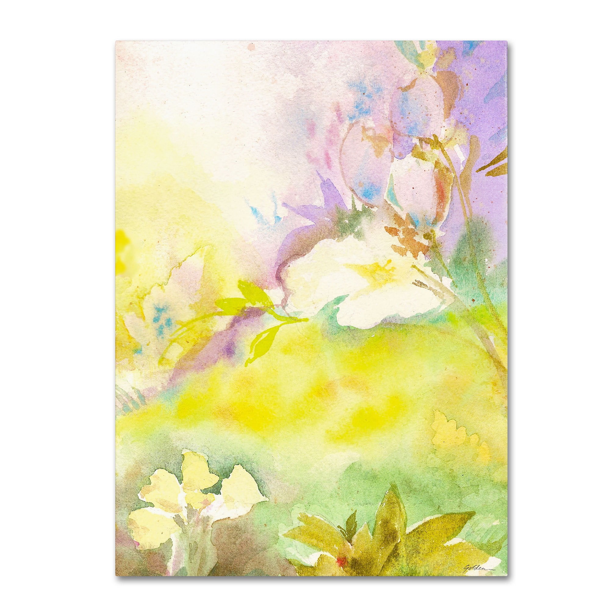 Trademark Fine Art "Enchanted" Canvas Art by Sheila Golden