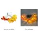 thumbnail image 4 of Moyic Halloween LED Lights Strings Leaf Festival Holiday Bedroom Trees Party Lamp Birthday Porch Fence Decoration Window Kits de decoración para fiestas Numero 5 Moyic HA044238-05, 4 of 6