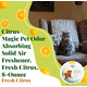 thumbnail image 3 of Ambientador Sólido Citrus Magic Absorbente de Olores Pack de 3, 3 of 5