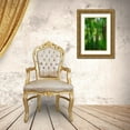 thumbnail image 3 of Miller, Anna 23x32 Gold Ornate Wood Framed with Double Matting Museum Art Print Titled - Florida-Tropical Garden Palms, 3 of 4