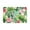 Green, variant on Floral Bath Mat Leaf Bathroom Rugs Flower Bath Rugs Super Soft Tropical Leaves Non-Slip Bath Rugs 16"X24"