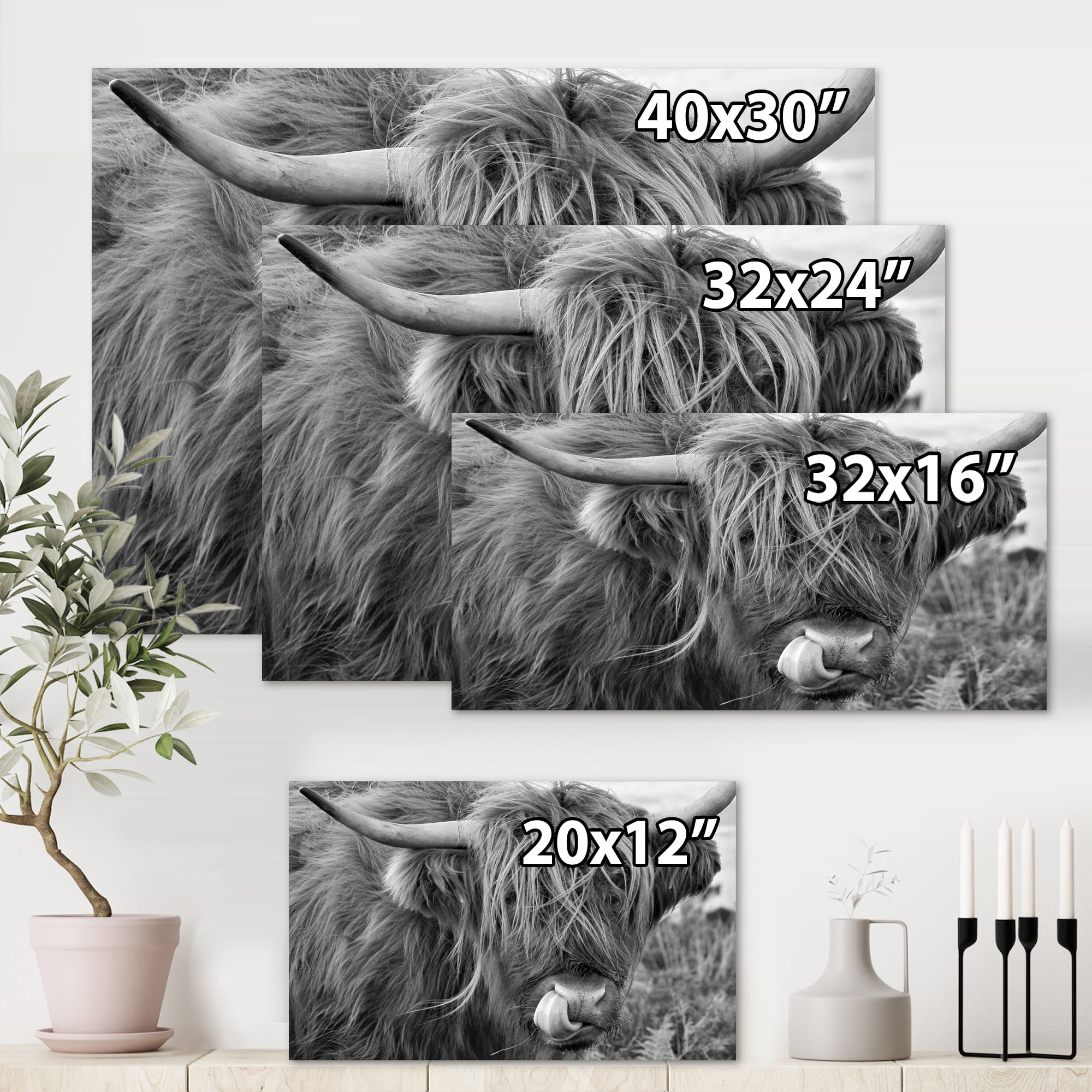 Designart ' Close Up Of Scottish Cow On Moorland II ' Farmhouse Canvas Wall Art Print