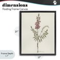 thumbnail image 4 of Stupell Industries Transitional Nature's Delicate Herb Sprig Black Floating Frame Canvas Art, 17 x 21, by Cady Driver, 4 of 8