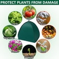 thumbnail image 4 of mdesiwst Pop Up Shrub Cover, Plant Frost Protection Tent, 22 x 22 x 22 Inch Winter Plant Cover, Garden Plant Protector from Snow And Ice for Outdoor Shrub Fruit Freeze Protection, 4 of 8
