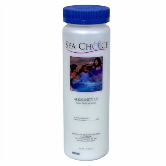 SpaChoice Amplificateur d'Alcalinité Premium de 1 Livre, Augmentateur d'Alcalinité pour Spa, Bicarbonate de Sodium 100 %, Fabriqué aux É.-U.