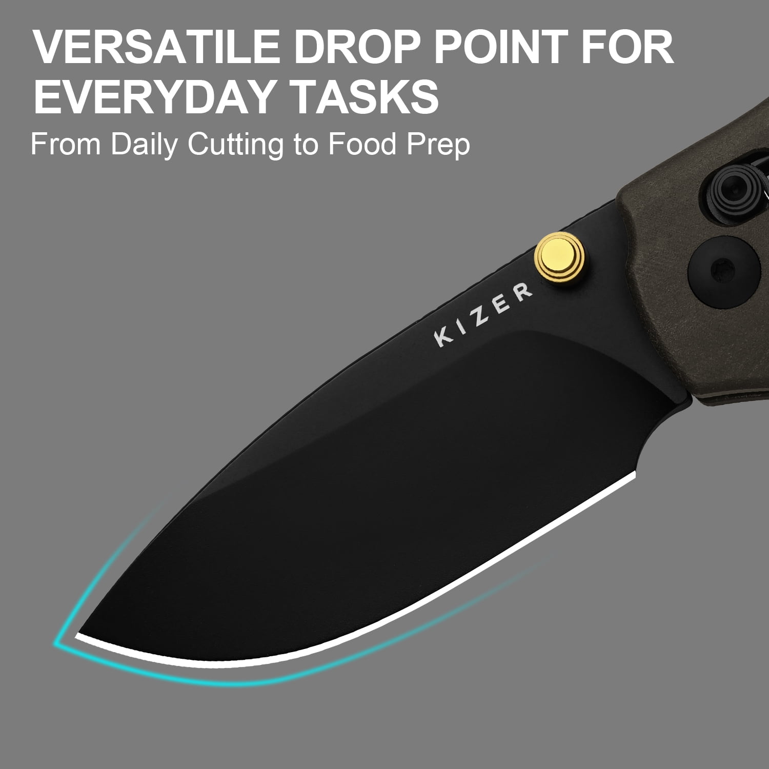 Kizer C01C 2.9 CD EDC Folding Pocket Knife 2.95'' Nitro-V Blade Richlite Handle