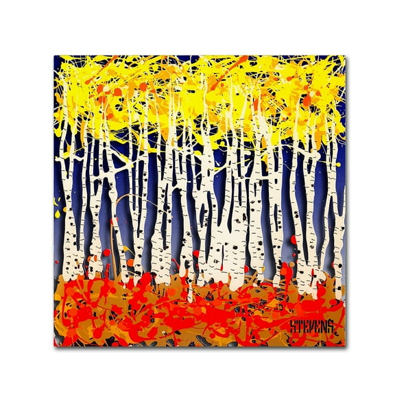 Trademark Fine Art Roderick Stevens 'White Aspens' 14 x 14 (RS994-C1414GG)