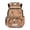Brown Coffee Capybara, variant on Space Axolotl Kids School Backpack 17 Inch Water-Resistant Large Capacity Multi-Pocket Bookbag for Elementary Girls, for Back to School Supplies, Travel & Hiking