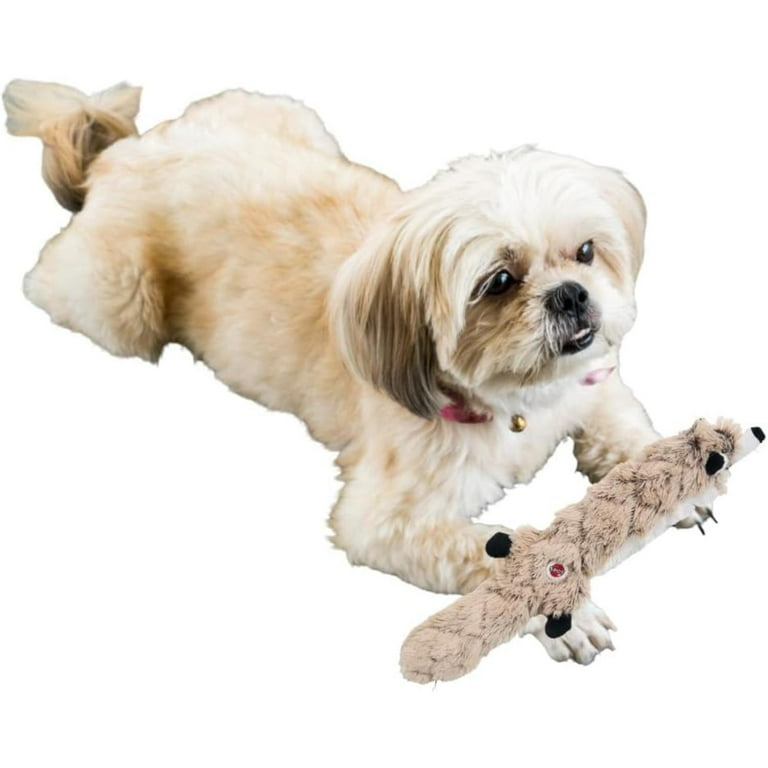 SPOT Skinneeez Extreme Quilted Raccoon Dog Toy – Tough, Stuffing
