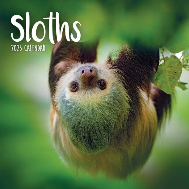 2023 Sloths Mini Calendar (Other)