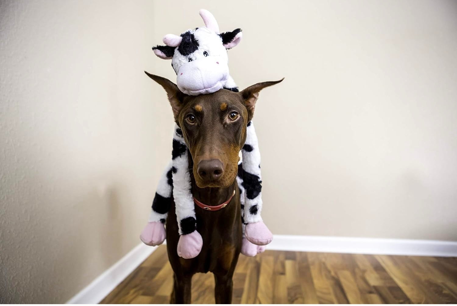 Large Extra Long Legs Over Sized Animal Dog Toy 27 inch Plush Multiple Squeakers (White and Black Cow)
