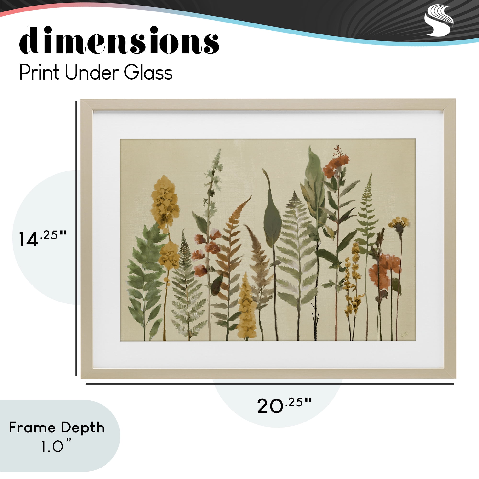 Stupell Industries Fall Toned Botanics Birch Framed Print Under Glass, design by Elizabeth Medley