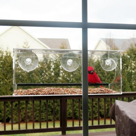 Window Alert Bird - Evelots Window Bird Feeder With Drain Holes and 3 Suction Cups, Large,Clear