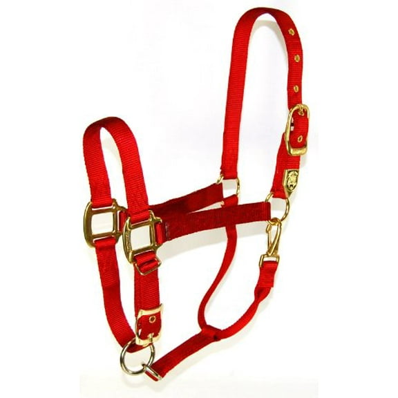 Hamilton 1-Inch Nylon Halter with Adjustable Chin