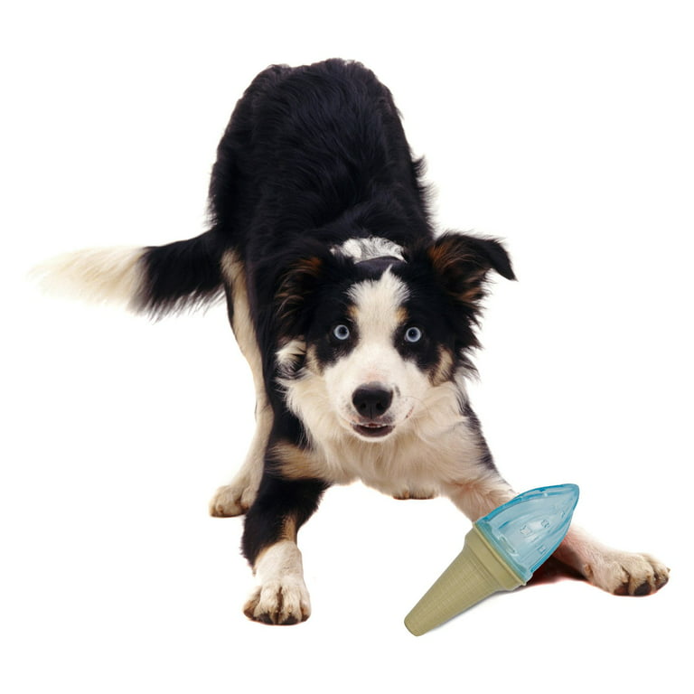 Freeze IT Popsicle Dog Chew Toy, Teeth Cleaning, Chew-Resistant, Floating Dog  Toy, Add Toothpaste, Perfect Summer Toy for Dogs