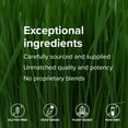 thumbnail image 4 of Vibrant Health, Maximum Vibrance, Plant-Based Meal Replacement Rich with Vitamins, Minerals, Antioxidants, and Protein, Gluten Free, Vegetarian, Non-GMO, Chocolate Chunk, 15 Servings, 4 of 9