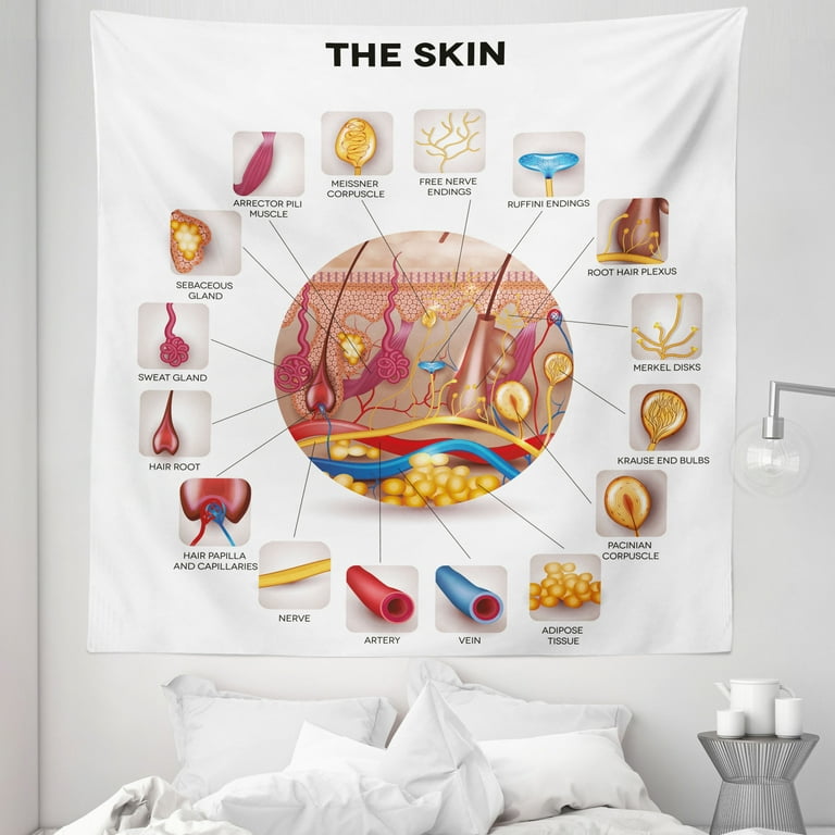 Science Tapestry Skin Anatomy Elements in Round Shaped Diagram Pores Hair Roots Veins Sensory Fabric Wall Hanging Decor for Bedroom Living Room