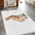 thumbnail image 2 of Area Rugs 2.7'x5', Funny Bunny Carpet for Living Room Bedroom Dining Room, Cute Art Fun Lovely Animals on Toilets Throw Kitchen Rugs Non Slip Washable Rectangle Indoor Outdoor Rugs, 2 of 8