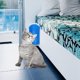 thumbnail image 1 of Gatos Cepillo Esquina Gatito Masaje Self Groomer Peine Depilación Frotar (Azul), 1 of 6