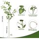 thumbnail image 3 of 5 plantas artificiales de tallo de hojas de eucalipto para decoración de primavera, hojas falsas, ramas verdes, arbustos verdes, follaje sintético de seda, tallos para, 3 of 4