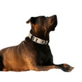 thumbnail image 5 of Gostoto Dog Collar,Camouflage Nylon Anti-Strain Standard Dog Collar For Medium Large Dogs, 5 of 6