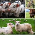 thumbnail image 7 of Farm Fence 4ft x 164ft 13Gauge Heavy Zinc Coating Cattle Fence,Galvanized Field Wire Fencing Deer Fence,Goat Fence,Hog Wire Fencing for Yard Livestock & Animals Protection, 7 of 7
