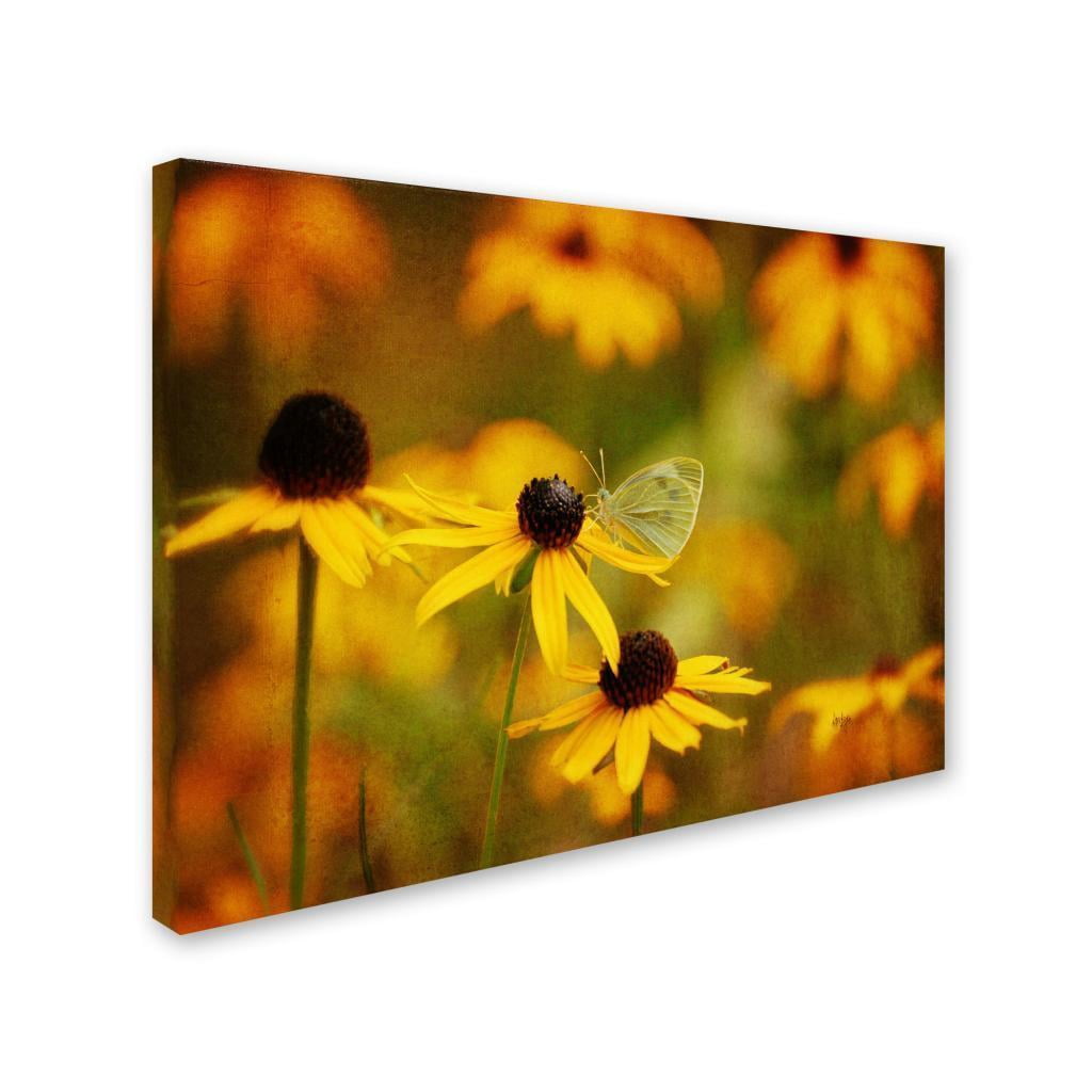 Trademark Fine Art "Abundance" Canvas Art by Lois Bryan