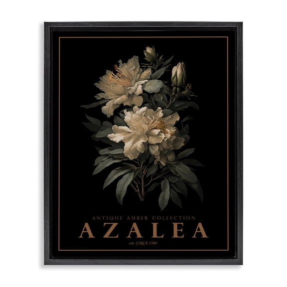 Stupell Industries French Country Antique Azalea Bushel Black Floating Frame Canvas Art, 17 x 21, by Christopher Giampietro